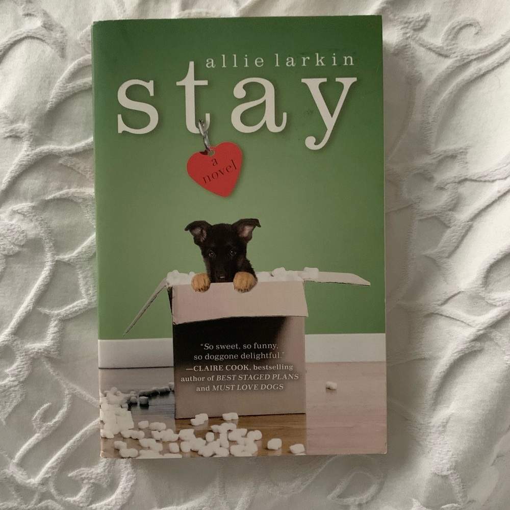 NOVEL | STAY - BY ALLIE LARKIN